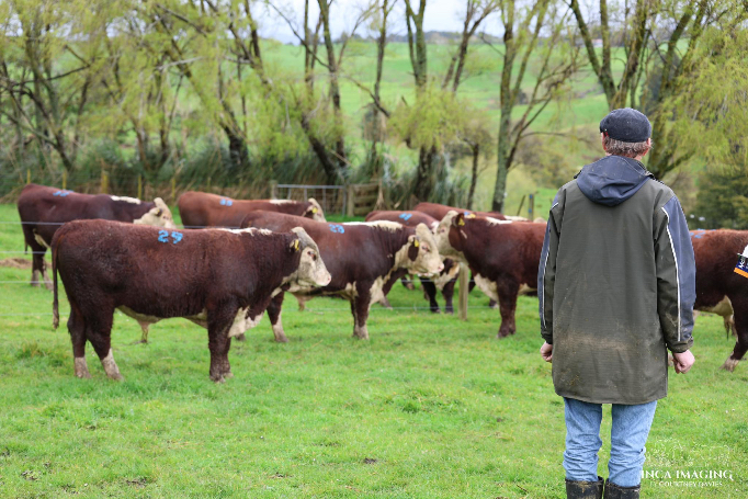 Mahuta Annual Sale September 2025