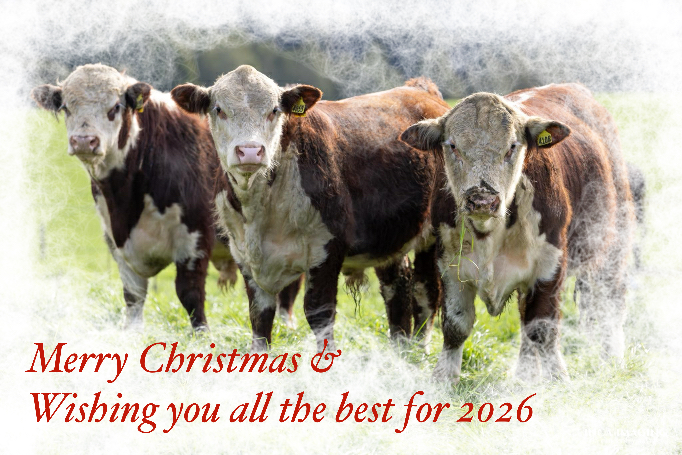 Season’s Greetings 2025 from John and Mary.